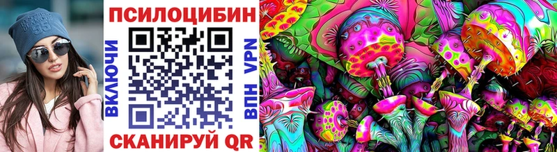 Псилоцибиновые грибы GOLDEN TEACHER  блэк спрут зеркало  Сусуман  даркнет сайт 