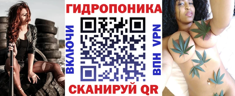 Шишки марихуана ГИДРОПОН  Сусуман 